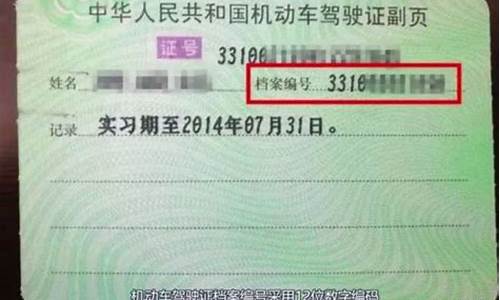 驾驶证条形码查询系统_驾驶证条形码查询官