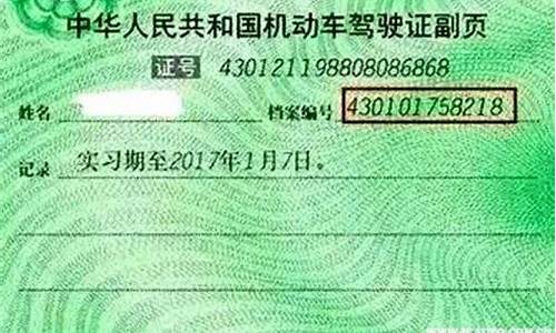 机动车驾驶证档案编号怎么查询_机动车驾驶