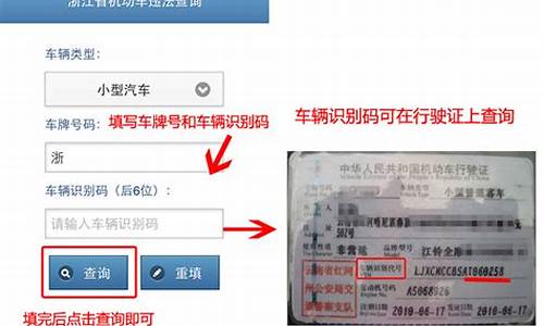 浙江车辆违章查询直接输入车牌号_浙江车辆
