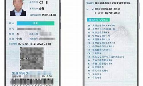 电子驾驶证可以上路吗_没拿驾驶证有电子驾驶证可以上路吗